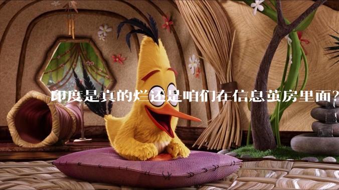 印度是真的烂还是咱们在信息茧房里面？